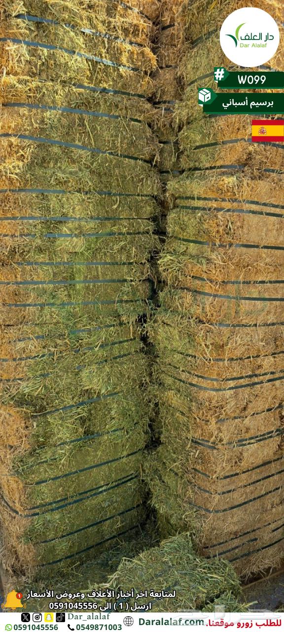 Imported Alfalfa in Tabuk64517062517250110