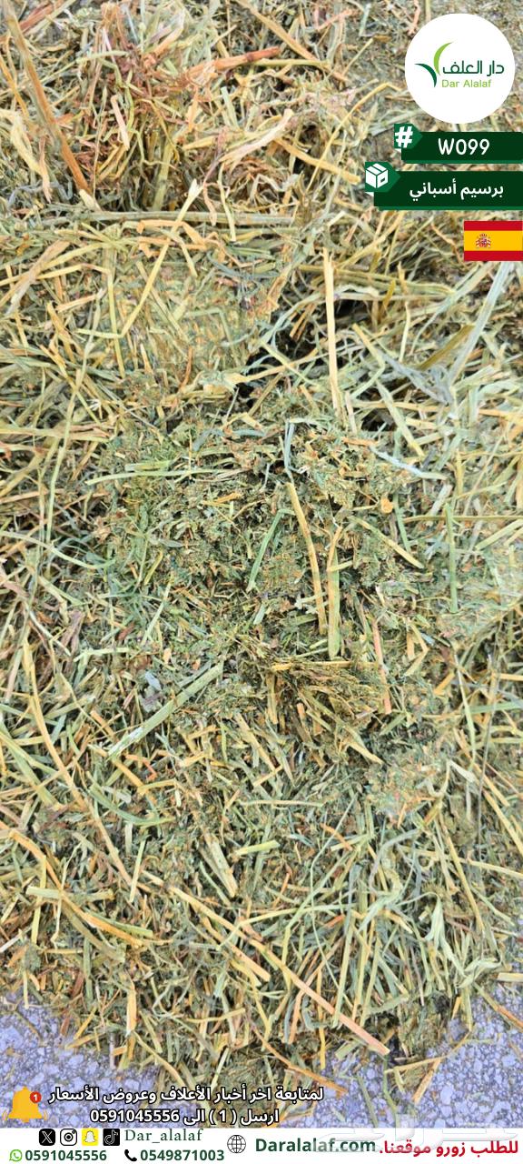 Imported Alfalfa in Tabuk64517062517250114