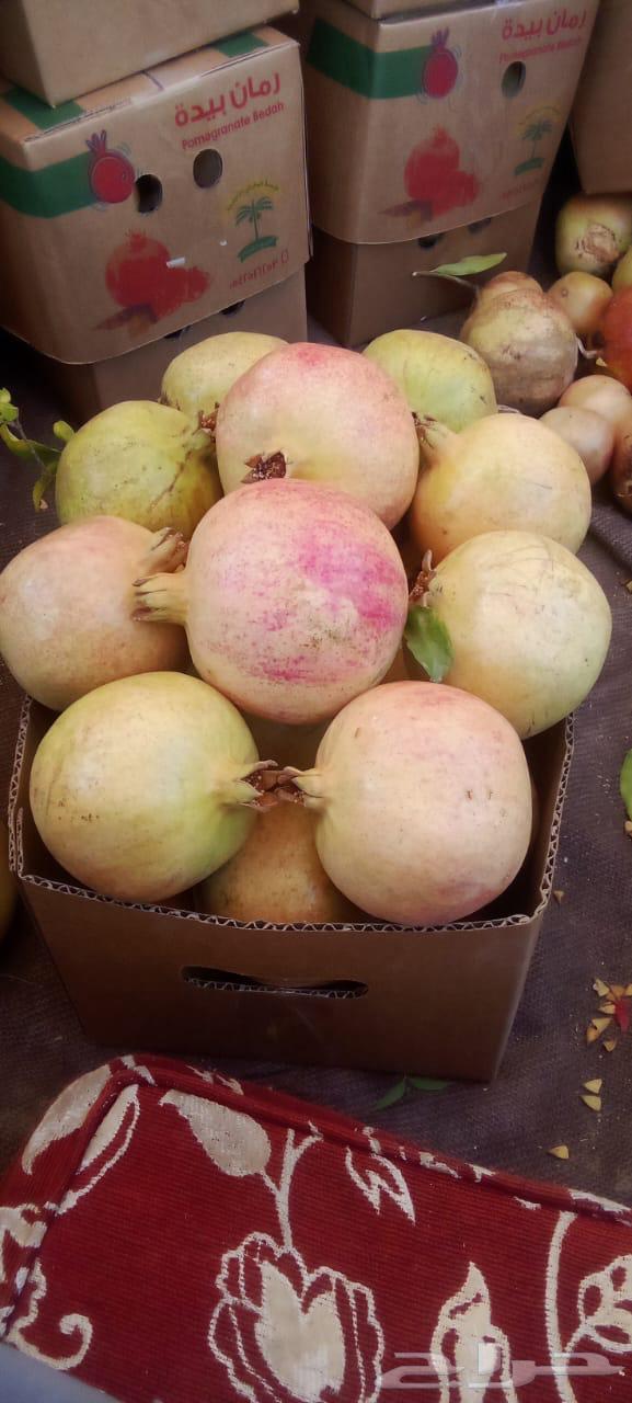 رمان الباحه (بيده) الفاخر64513089908739112