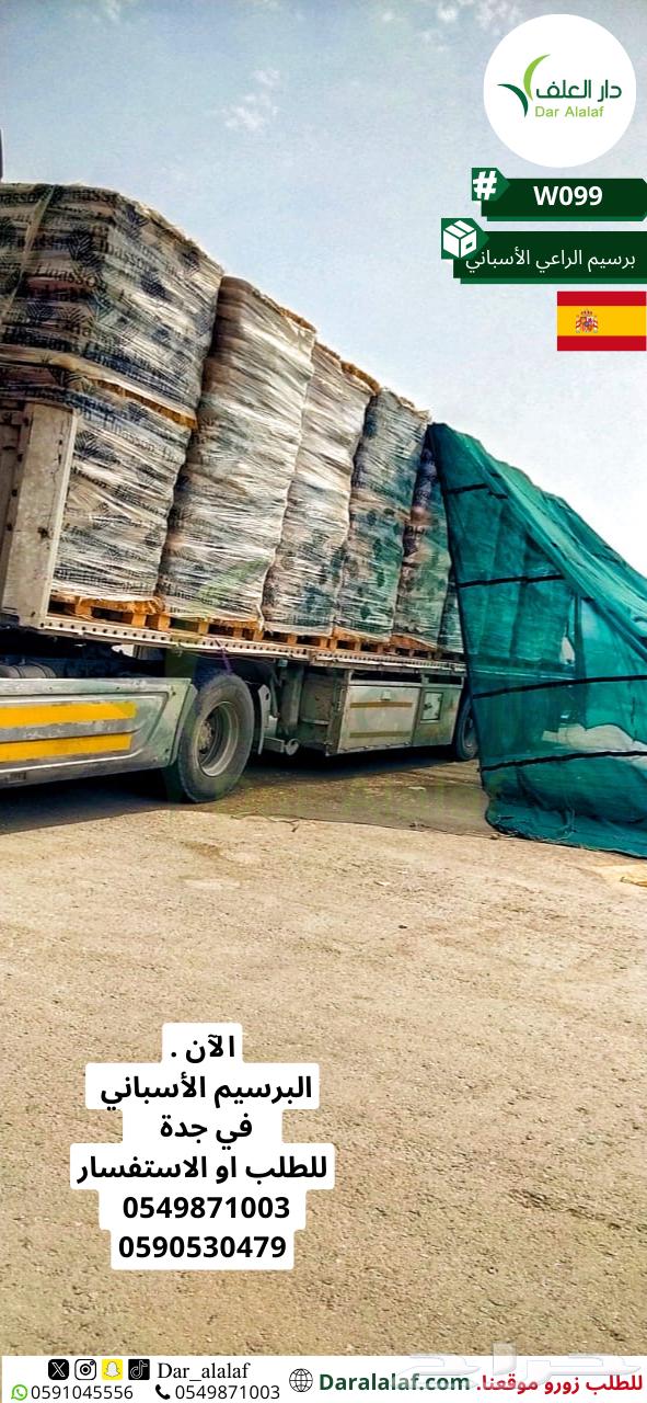 Imported Alfalfa in Tabuk64517062517250111