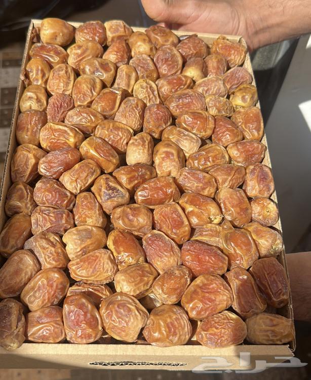تمر سكري مفتل البيع جمله64517691063043110