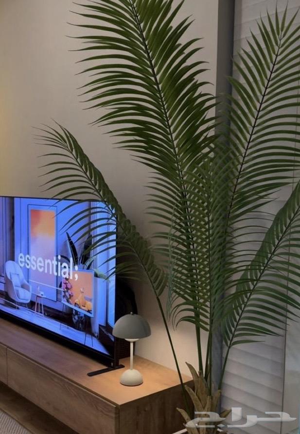 New LG Smart screen used for a short period, high-quality screen64518262023939111