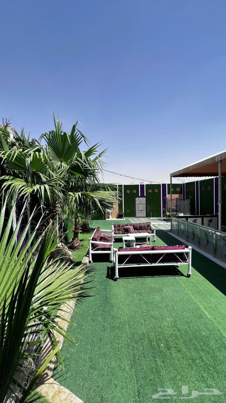 شاليهات جنوب الرياض عرض خاص ليوم الاحد64484855582081112