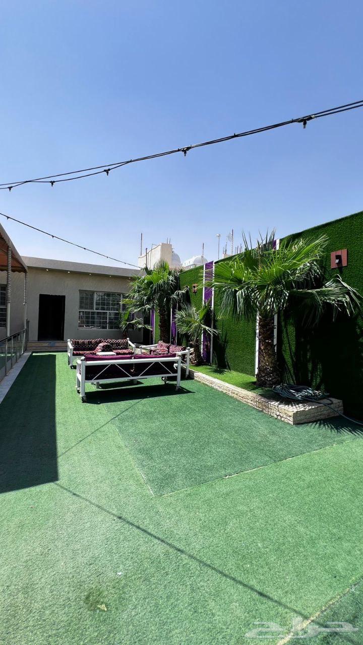 شاليهات جنوب الرياض عرض خاص ليوم الاحد64484855582081111