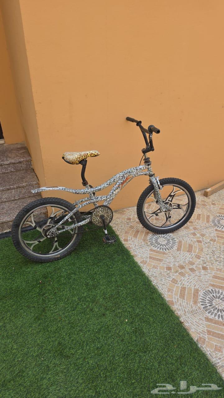 سيكل الفهد جنوط نجمة اخو الجديد حجم 2064513645466755110