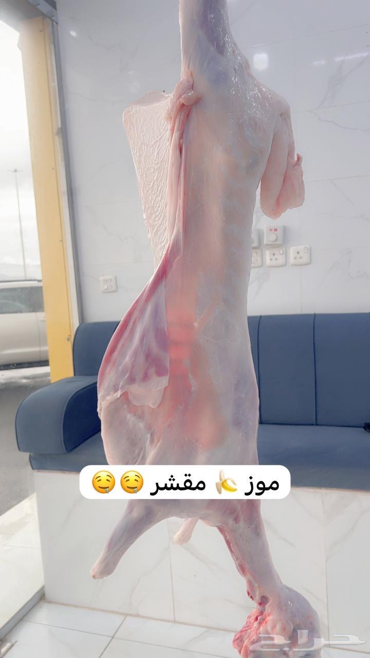 ملحمة ابو فيصل64513527316353111