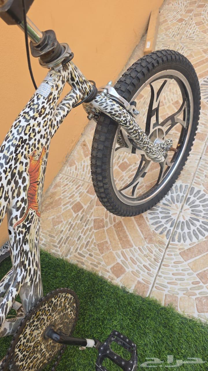 سيكل الفهد جنوط نجمة اخو الجديد حجم 2064513645466755112