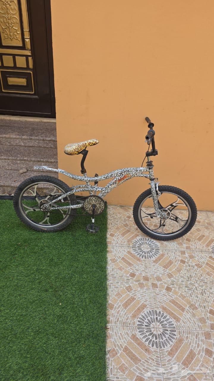 سيكل الفهد جنوط نجمة اخو الجديد حجم 2064513645466755111