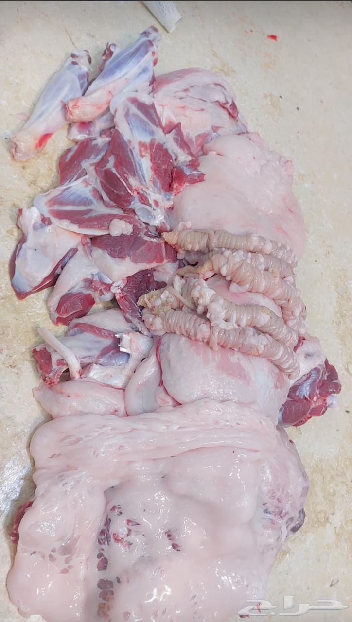 ملحمة ابو فيصل64513527316353112