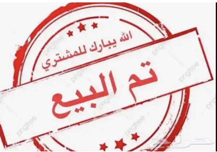 للبيع صوص رومي64475820038017110