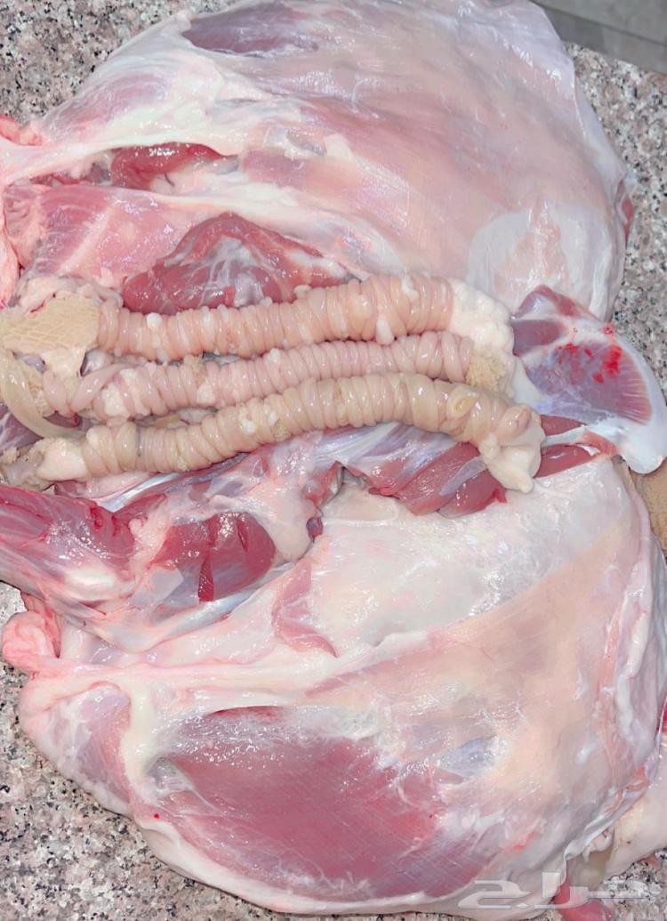 ملحمة ابو فيصل64513527316353113