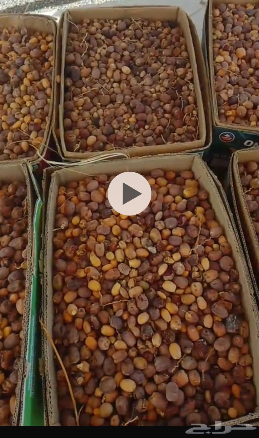 حشف للبيع64512469118721110