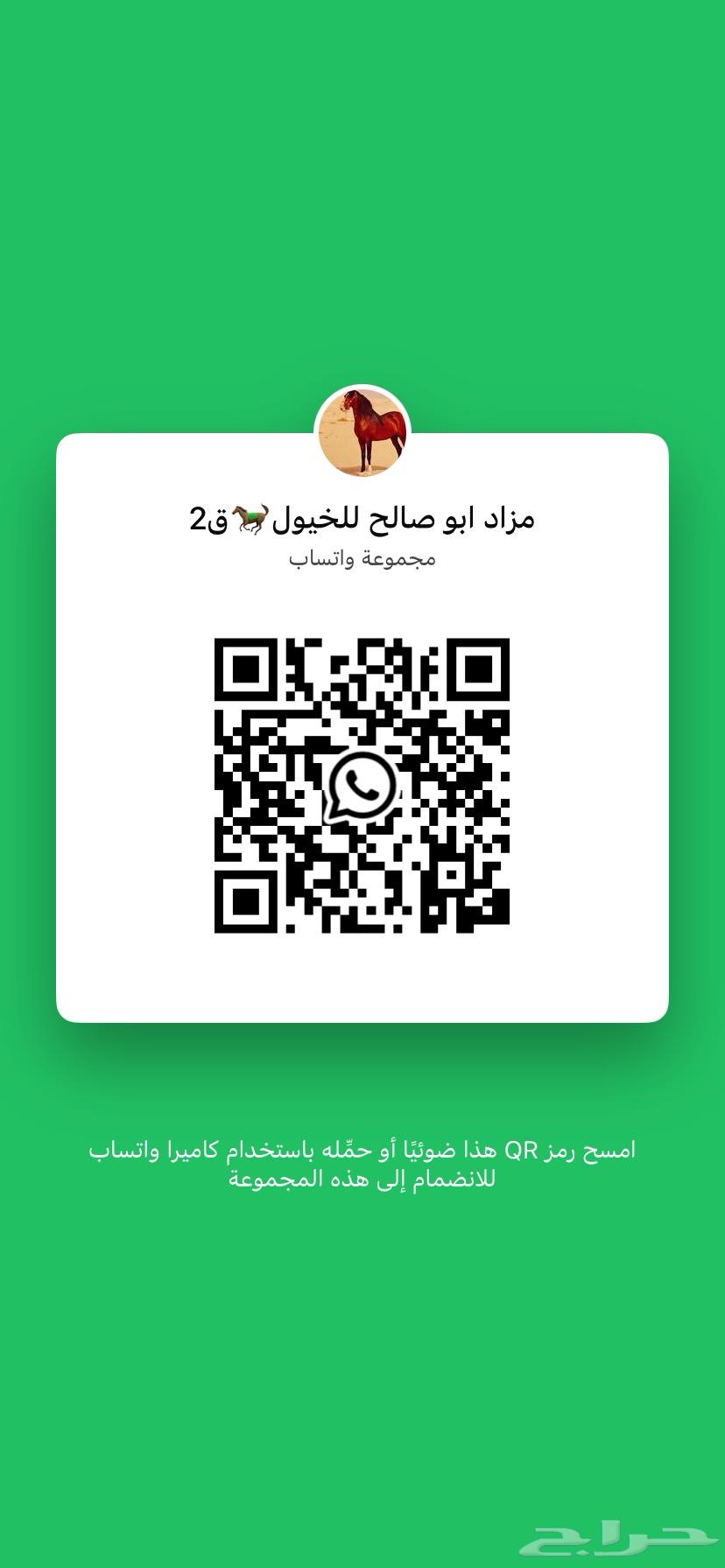 حصان واهو شيخ ماشاء الله64512818614401111