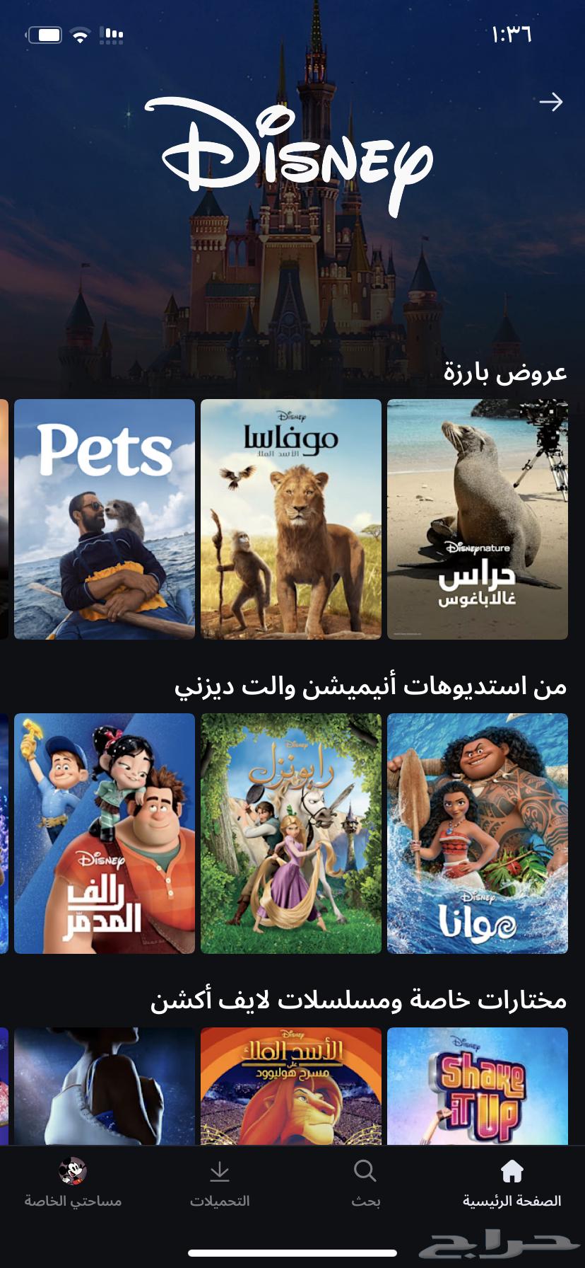 اشتراك دزني بلس لمدة شهر 8 ريال64516225789827110