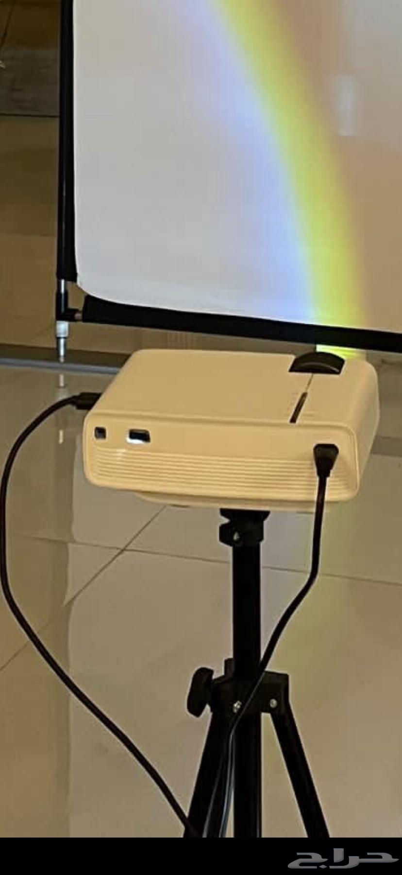 Borgkter64516625421059110