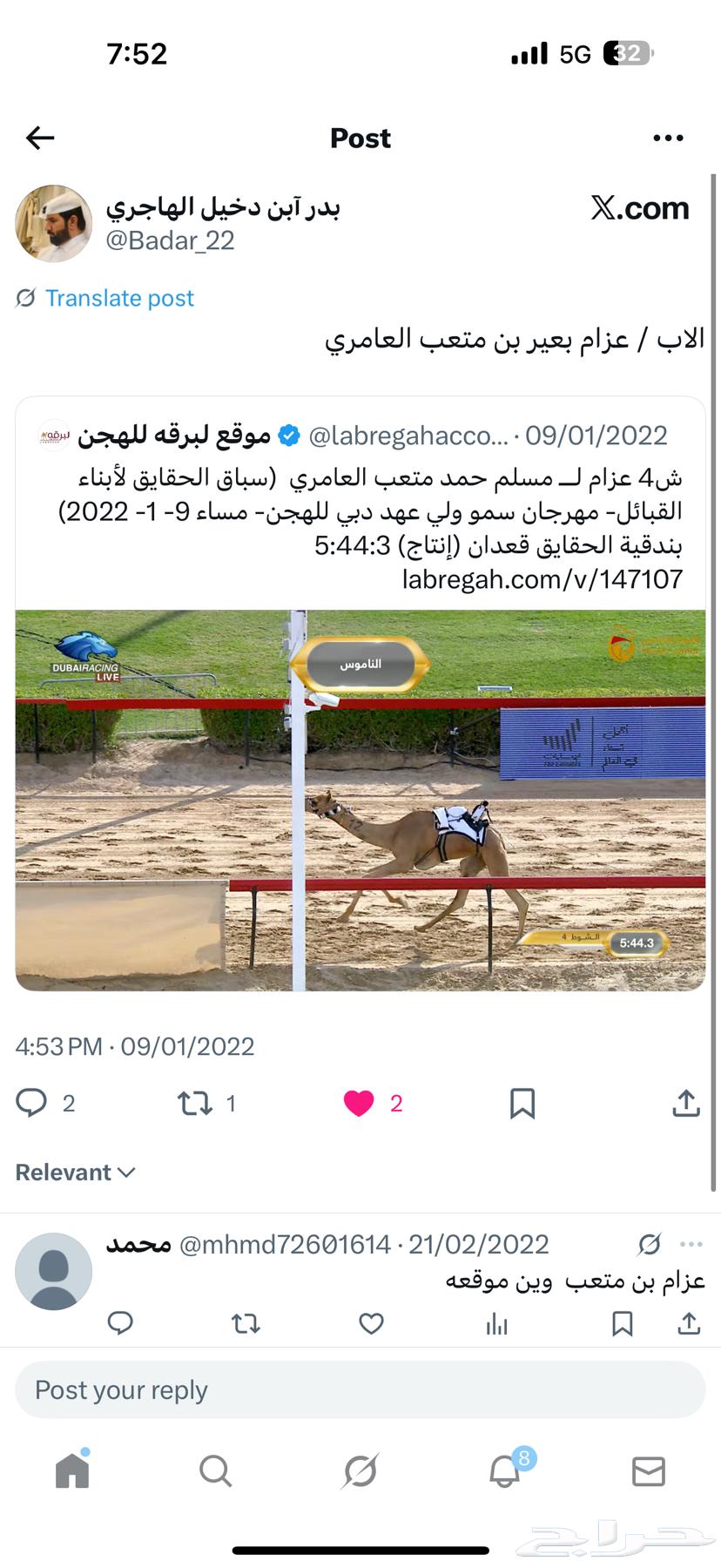 For sale, high-quality weaned calf64516568474498113