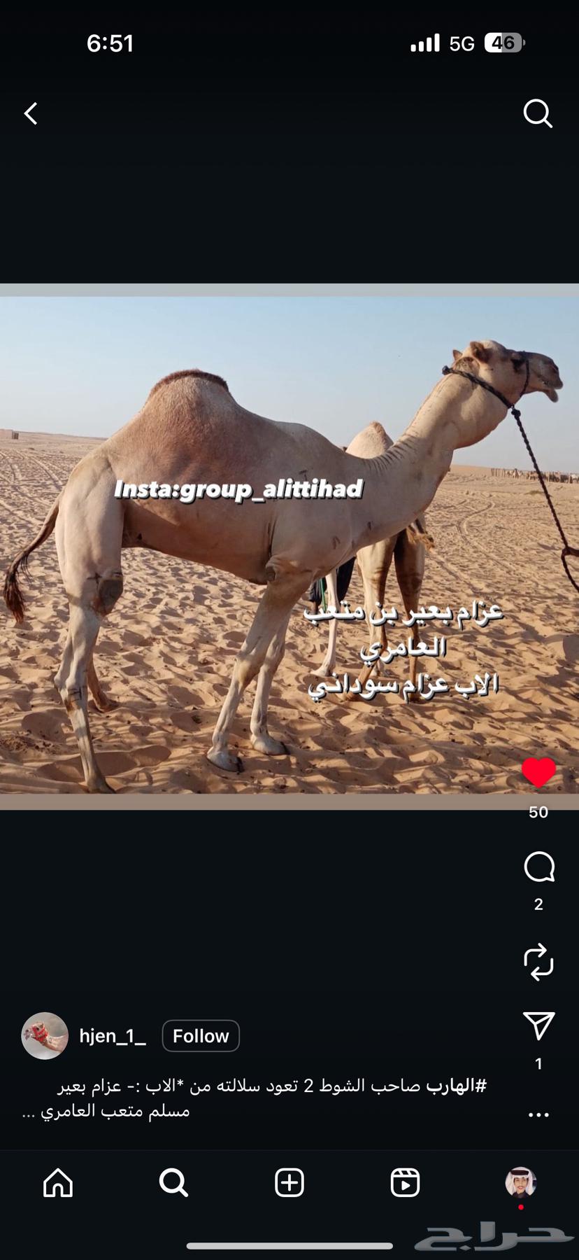 For sale, high-quality weaned calf64516568474498111