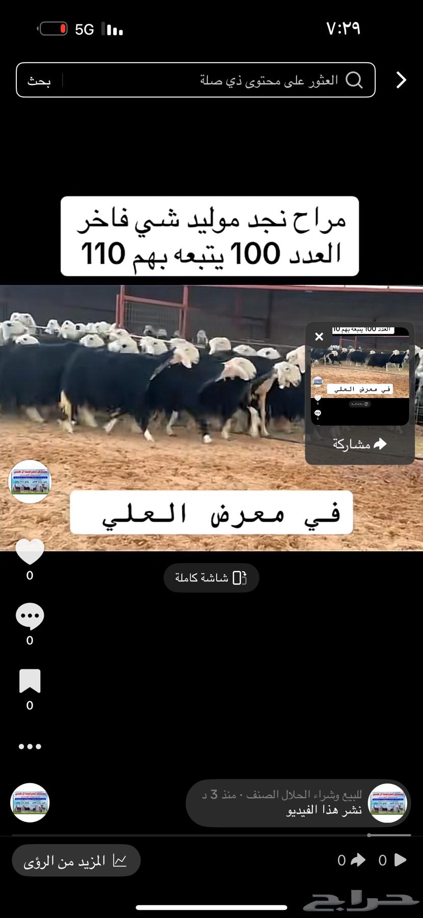 عرض بيع نجد مواليد 100تحتها 11064516836987907111