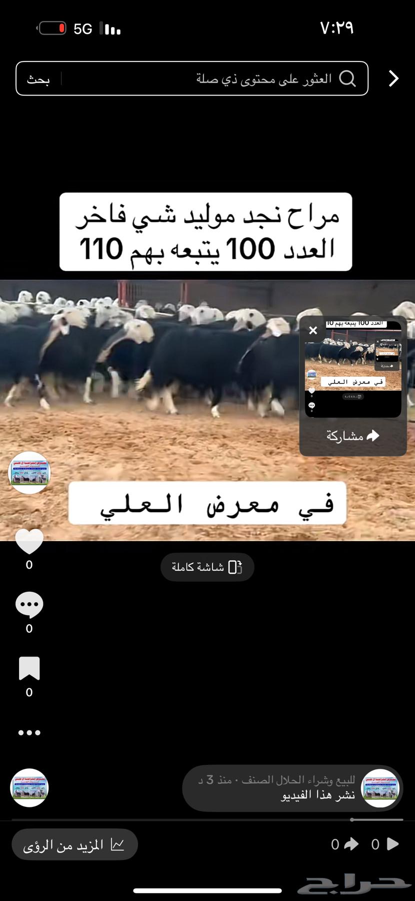 عرض بيع نجد مواليد 100تحتها 11064516836987907110