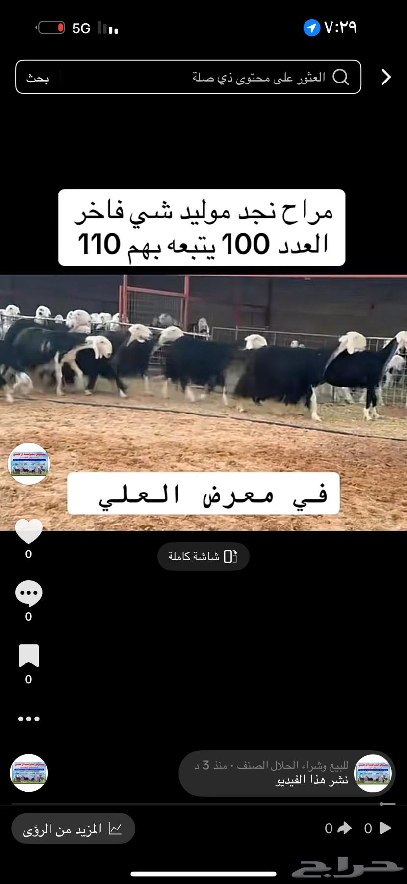 عرض بيع نجد مواليد 100تحتها 11064516836987907112