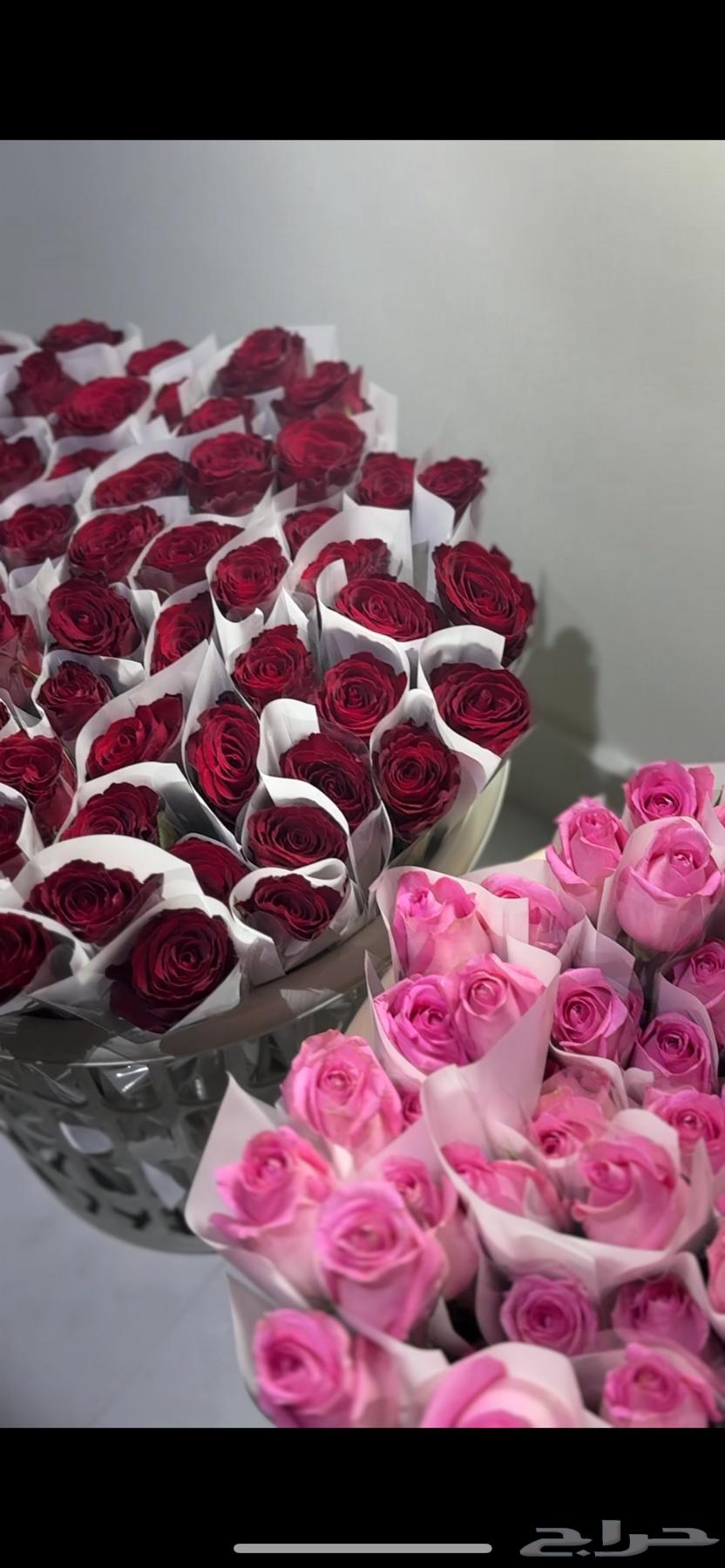 ورد طبيعي جمله وتوزيعات ورد64511829222274111