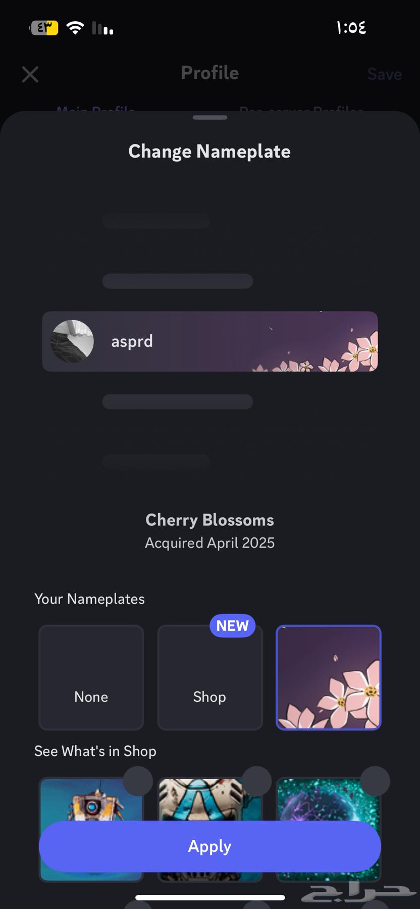 Almost identical Discord user 201564514072636161114
