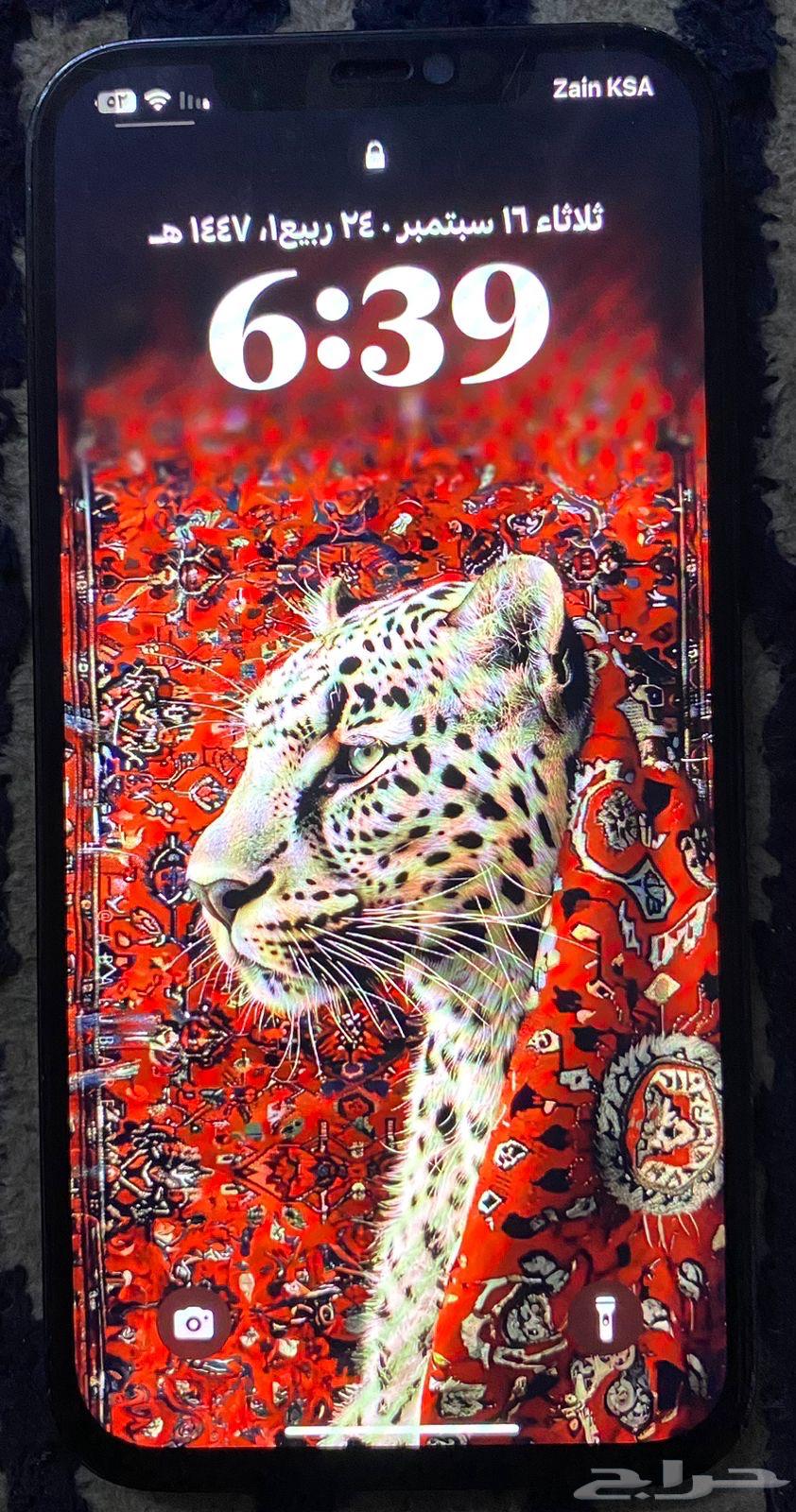 آيفون 12 برو ماكس64516240042114113