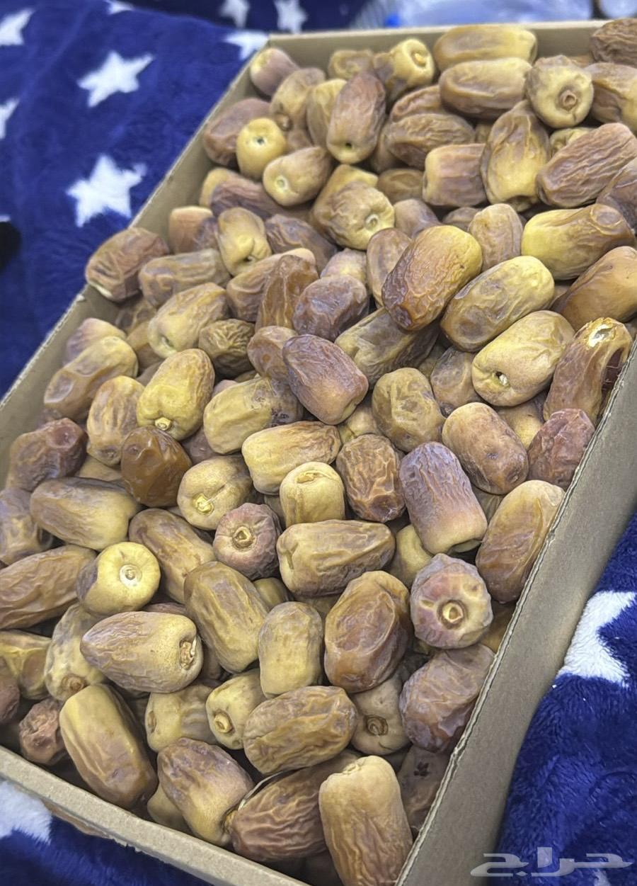 Tamr Rashoodiya for sale64518451005058110