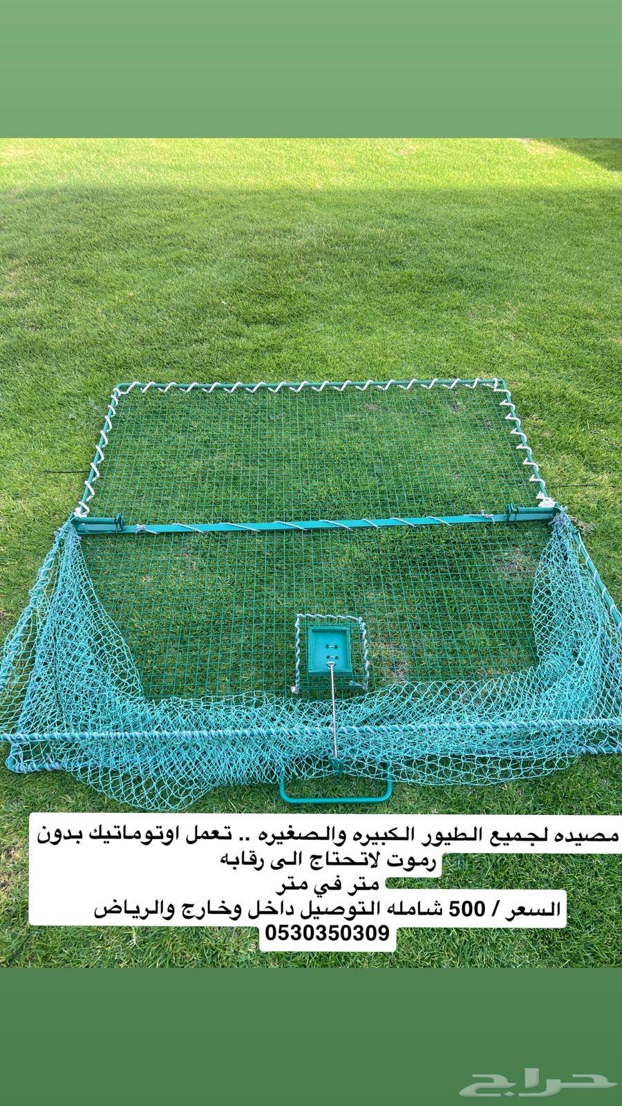 Pigeon Hunting Net64511506682627112
