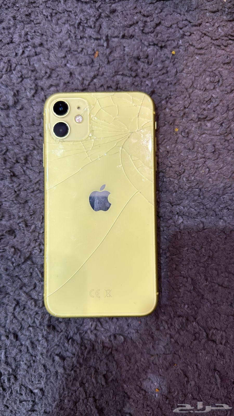 iPhone 11 Regular64513825221250113