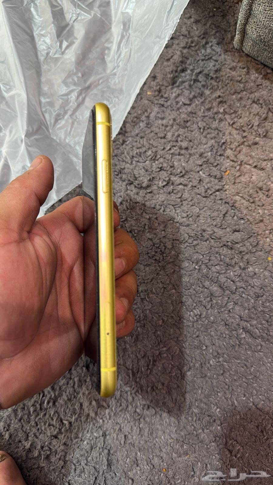 iPhone 11 Regular64513825221250111