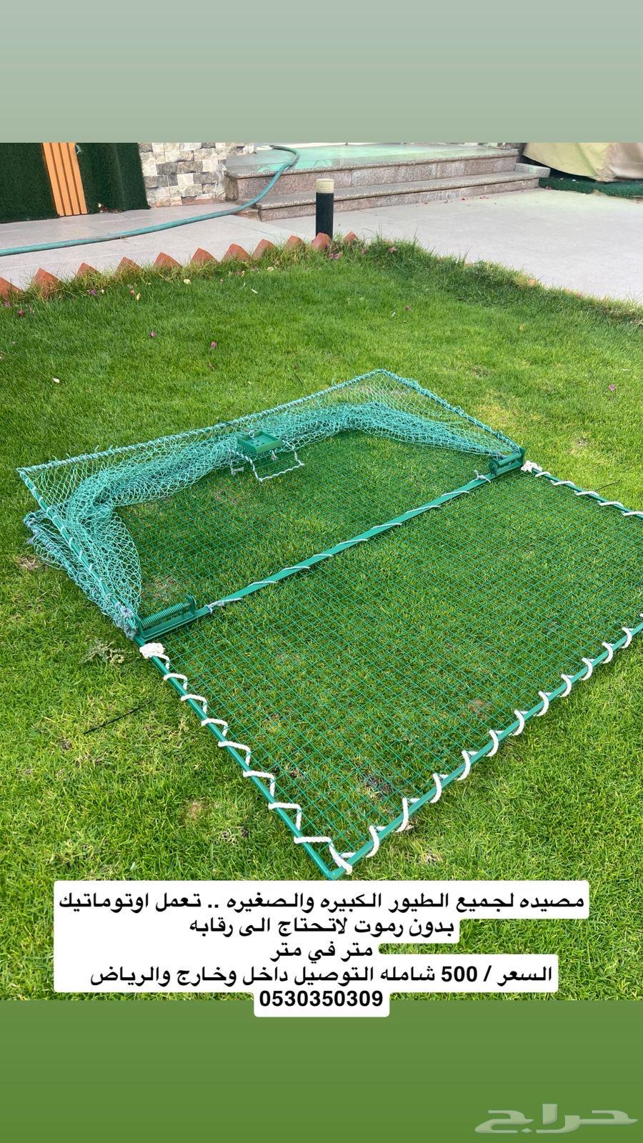 Pigeon Hunting Net64511506682627110