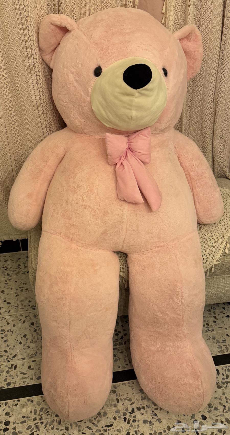 دبدوب بحجم كبييير جد ا باللون الوردي64511703491202110