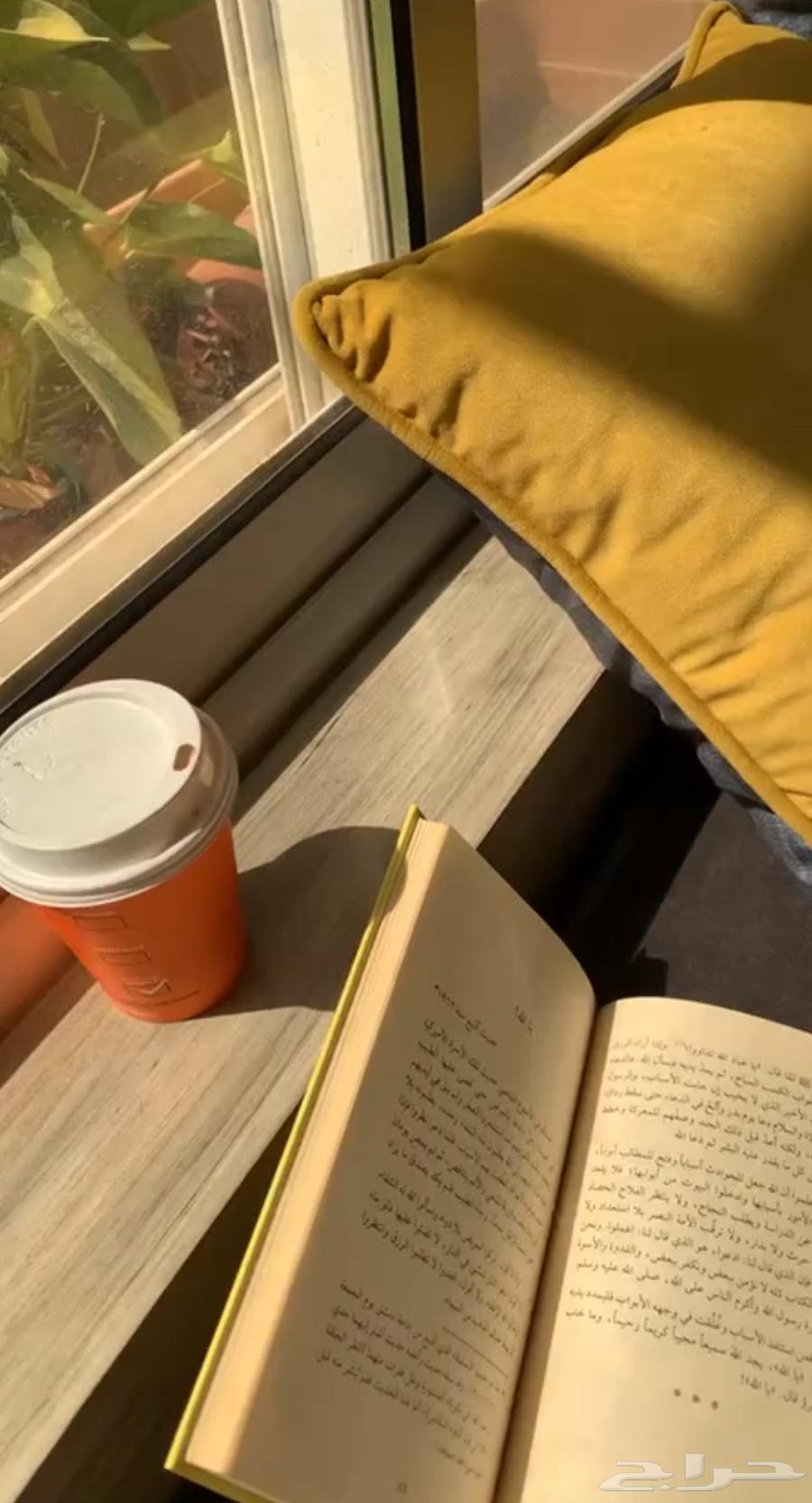 Sofa64514886696705114