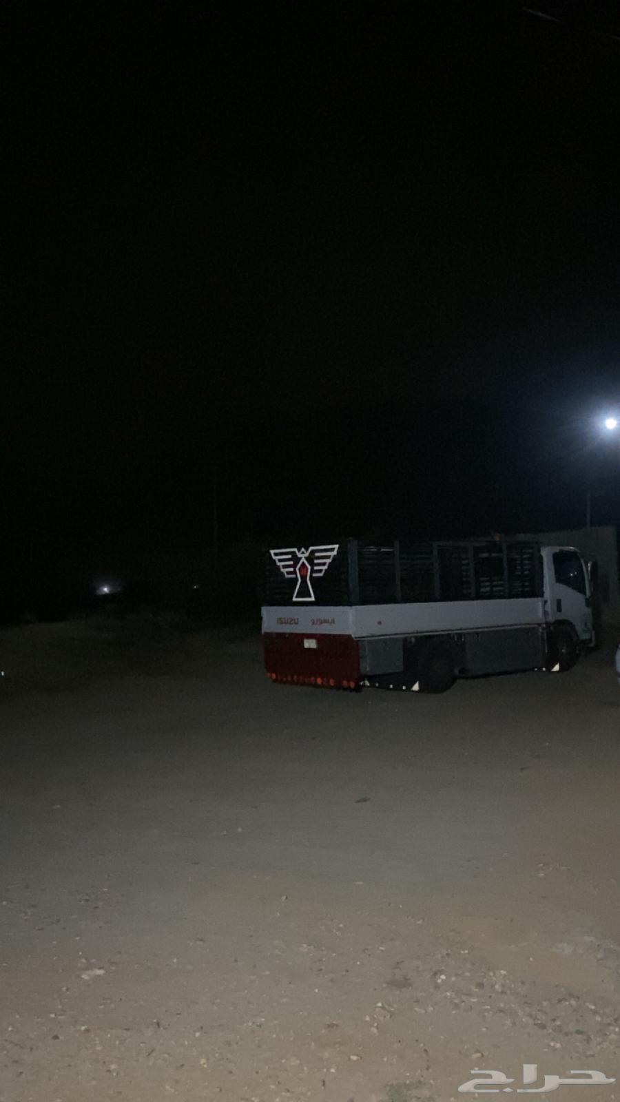 بارق دينه دينا بارق64150375179010111