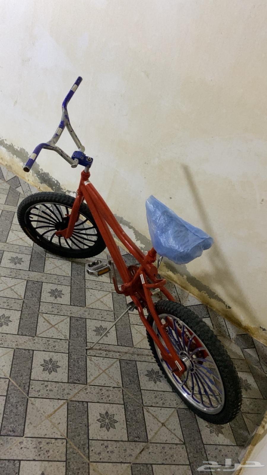 سيكل كوبرا مقاس2064519413300226112