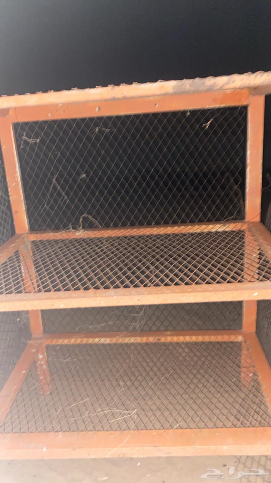 شبك طيور للبيع64537059099394110