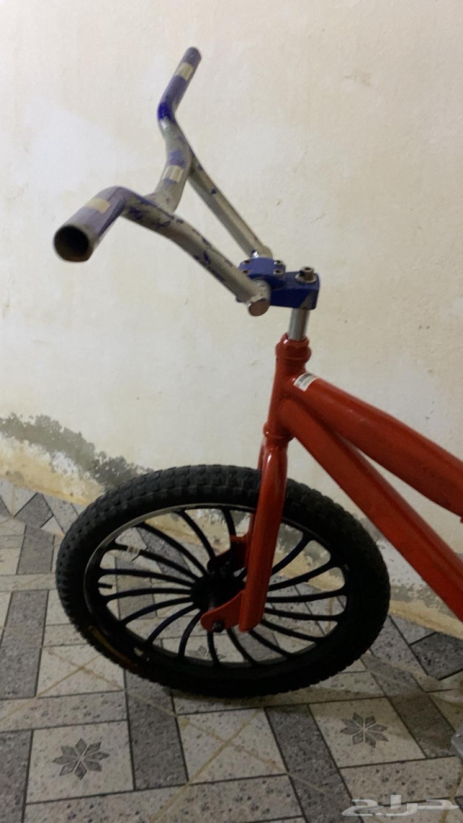 سيكل كوبرا مقاس2064519413300226114