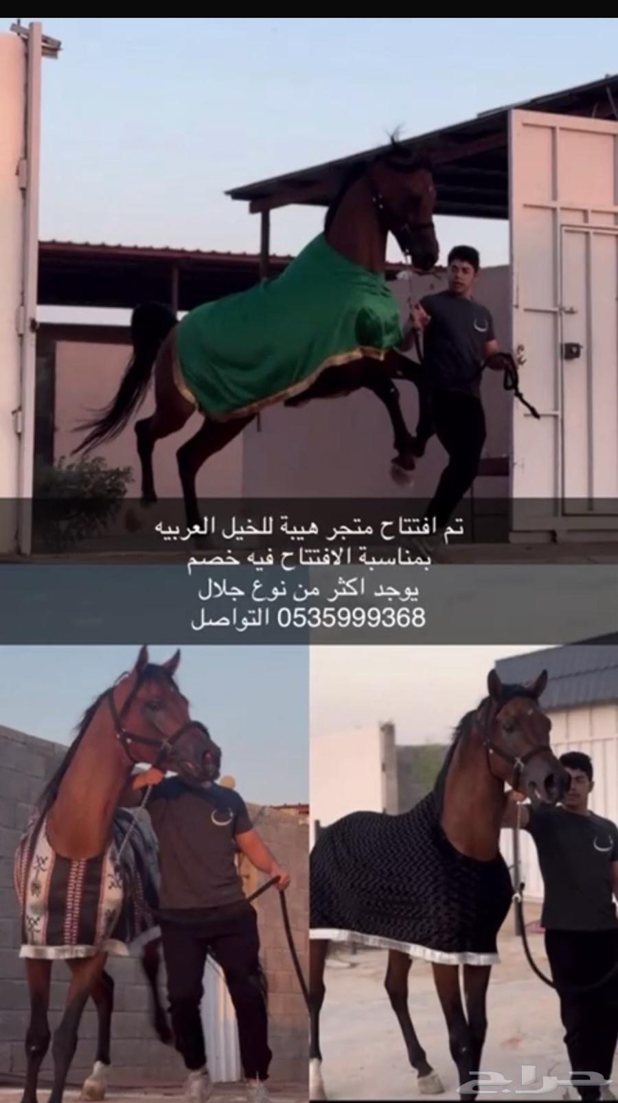 Jalal64526300328834110