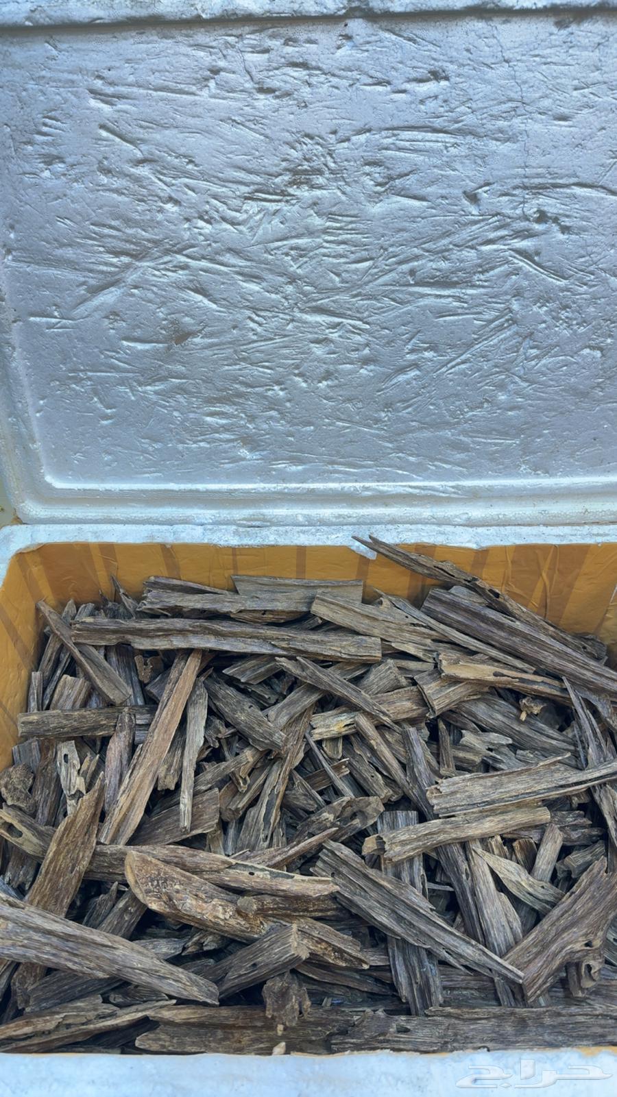 عود طبيعي هندي نجلاند64524712344193113