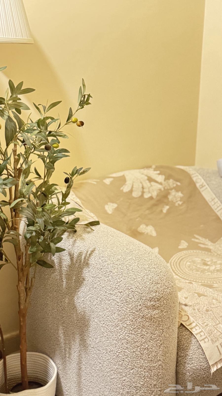 A single cabin from Home Box, new and clean64520304122625110