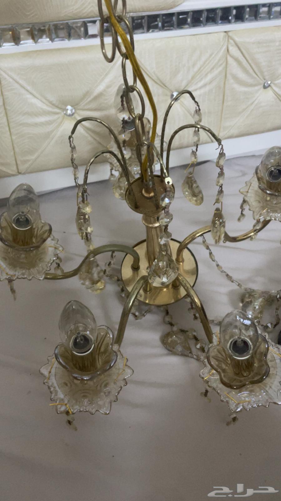 نجفه للبيع 50ريال64519568446722111