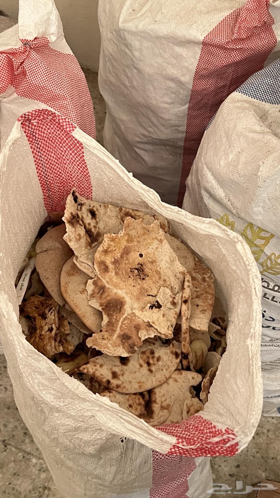 خبز للمواشي64519059849601110