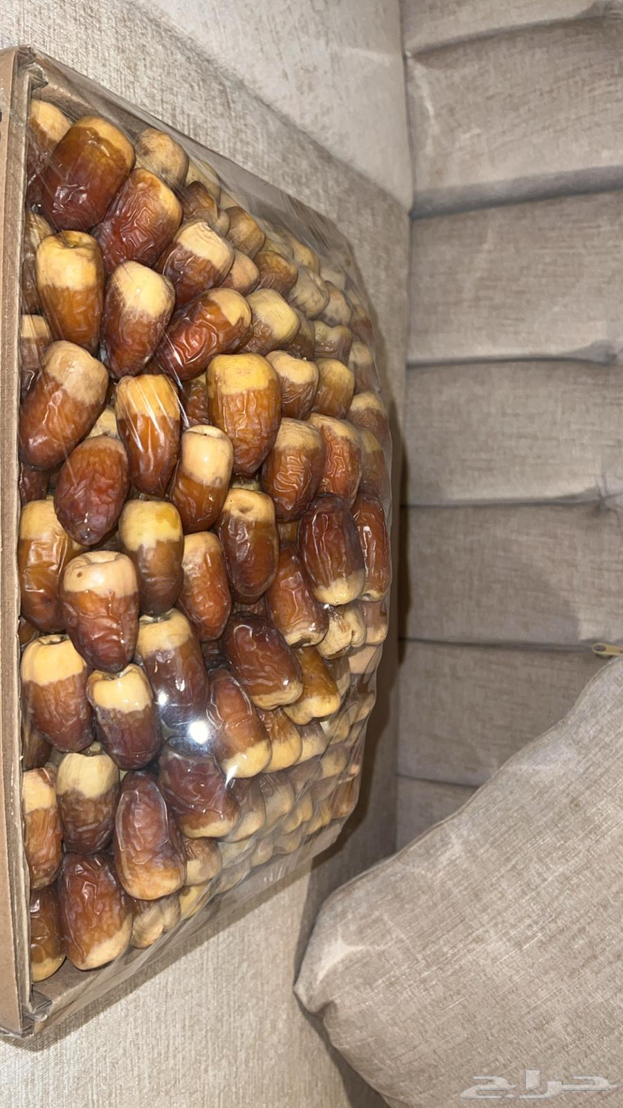 Premium Sukkari Dates64525192031619111