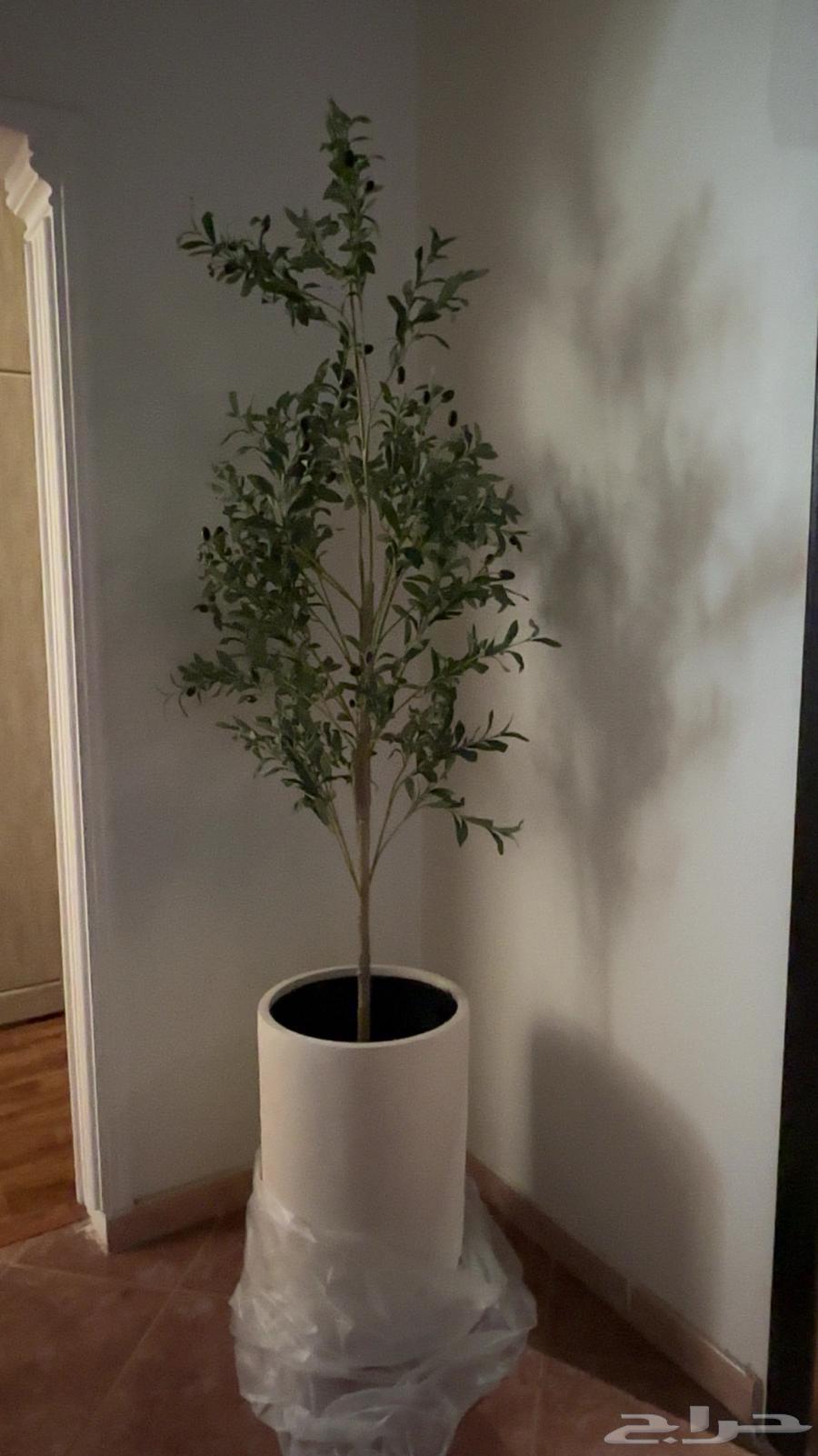 Artificial Olive Tree64521083253889110