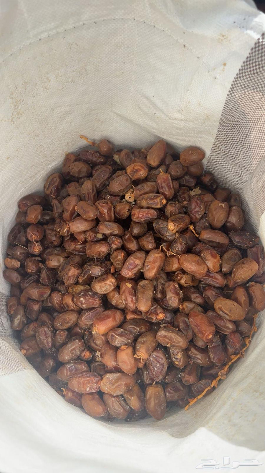 Clean Ajwa Dates for Halal64520375035778110