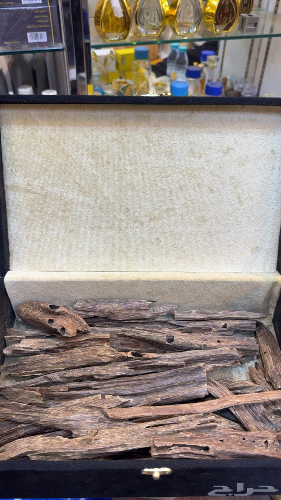 عود طبيعي هندي نجلاند64524712344193111