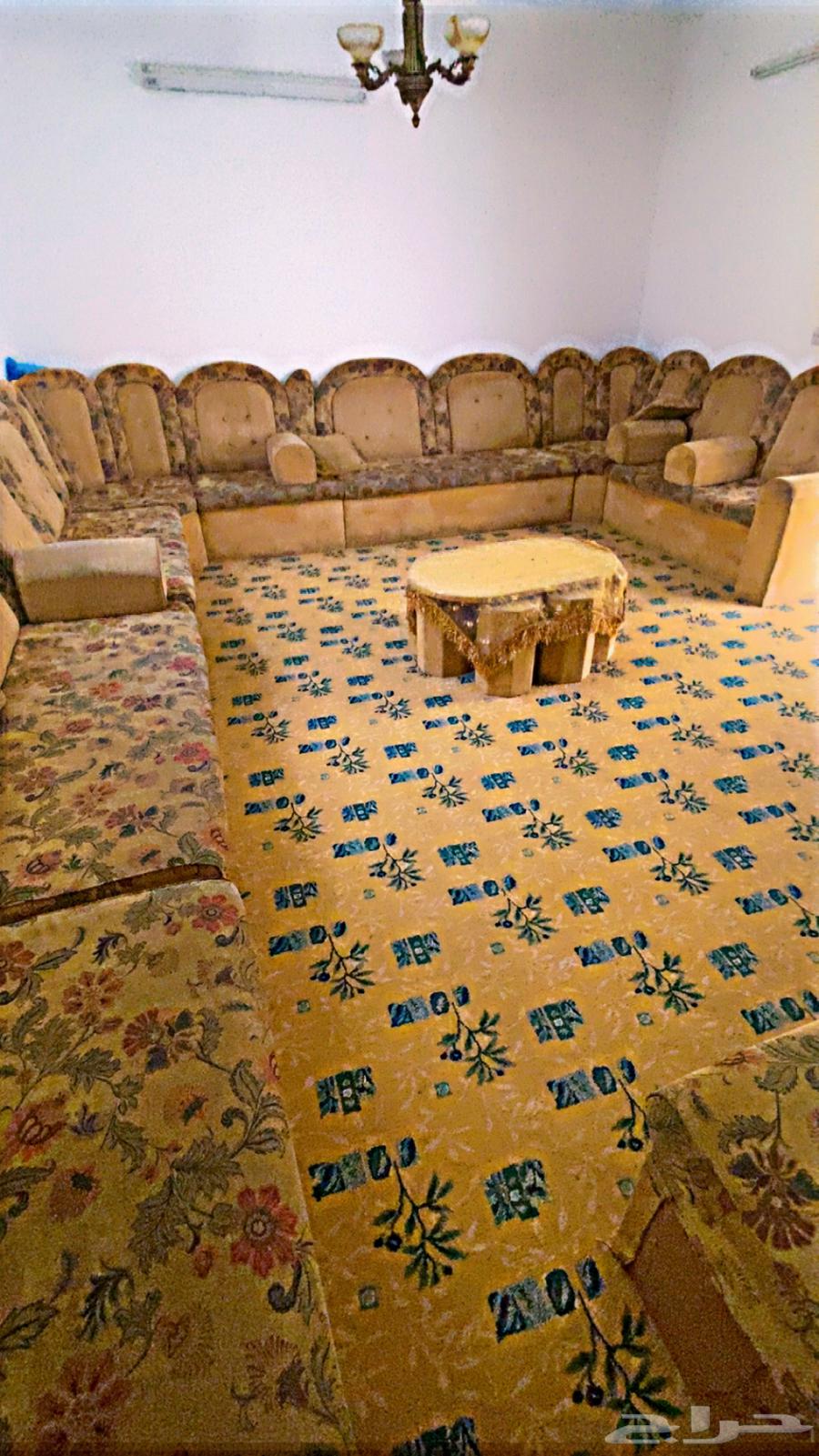 كنب للبيع 14 حبه مع 3 زوايا64524753649155112