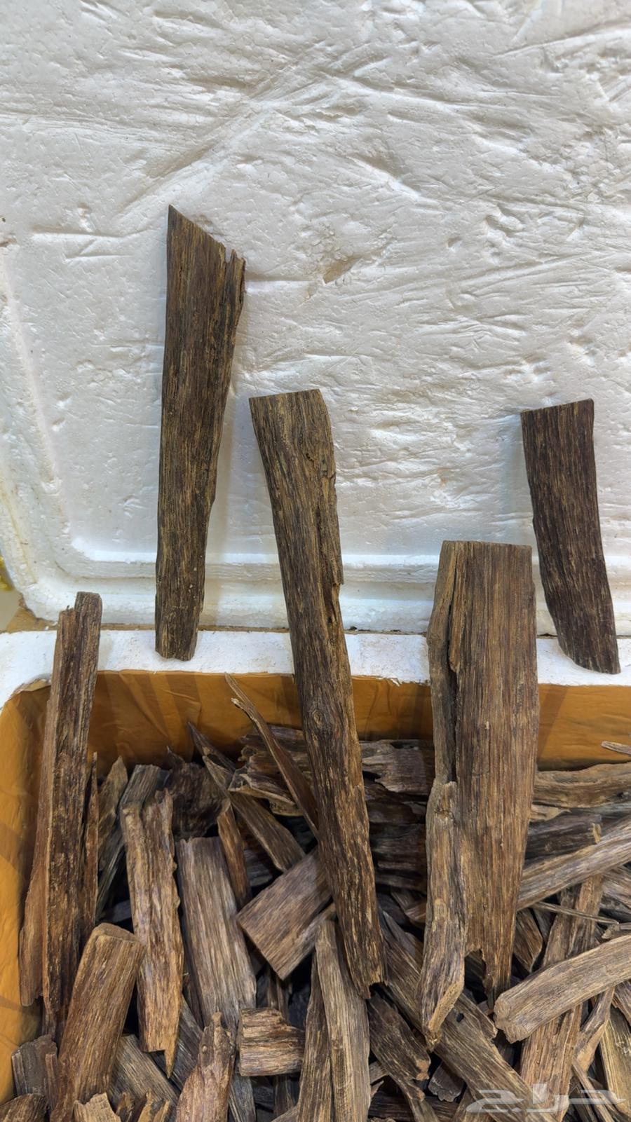 عود طبيعي هندي نجلاند64524712344193114