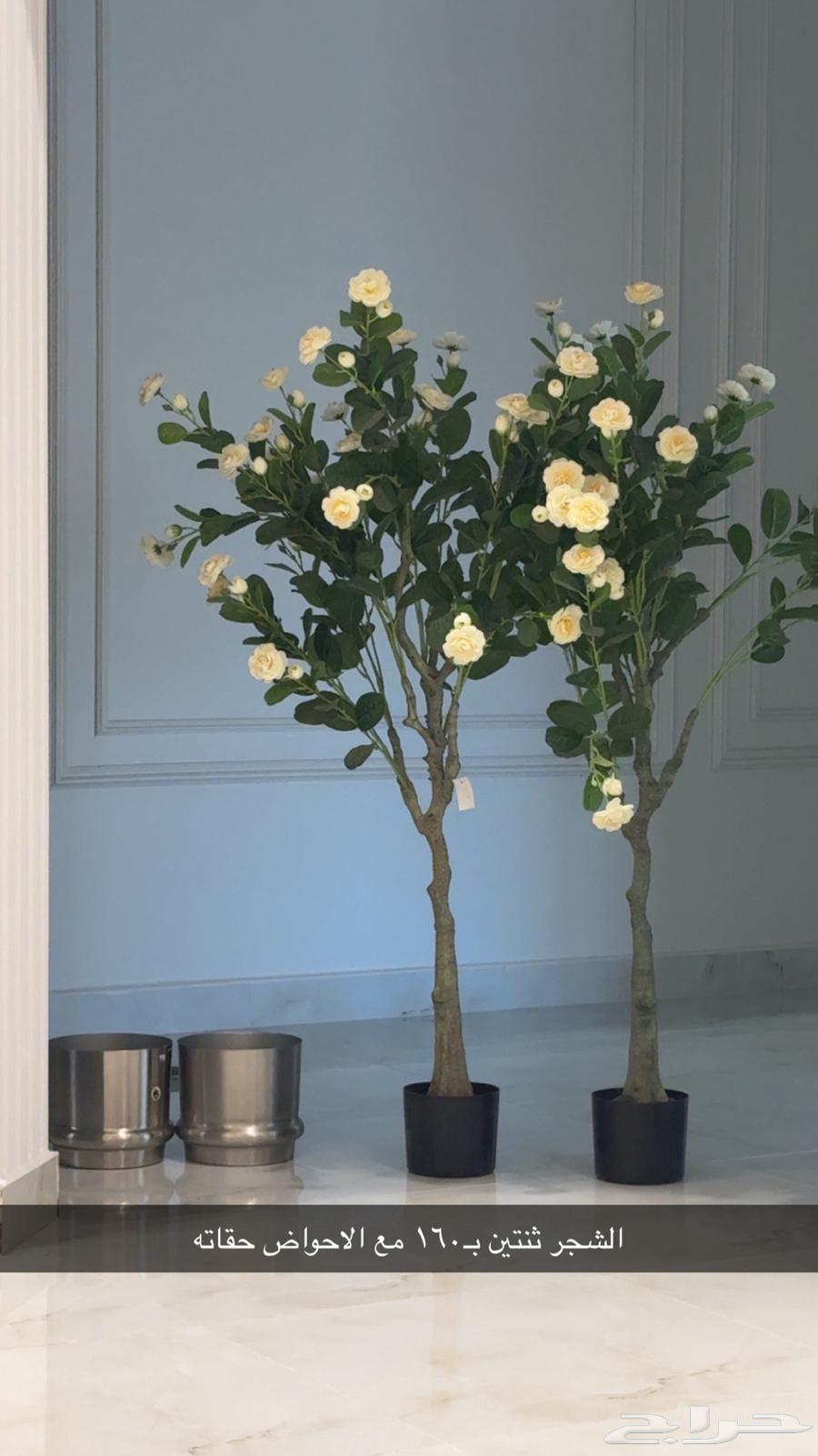 Furniture free of defects, reason for sale is relocation and no need for them64522781341442112